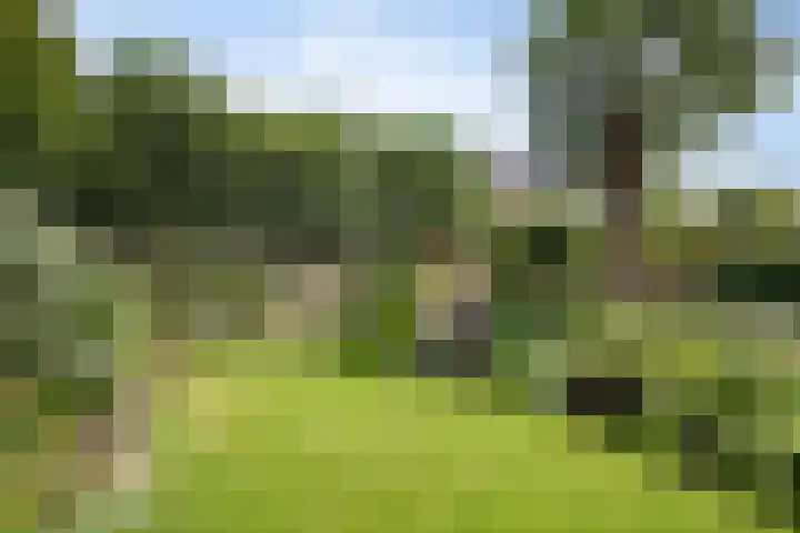 Molecatendreef 15 Helmond thumbnail 5