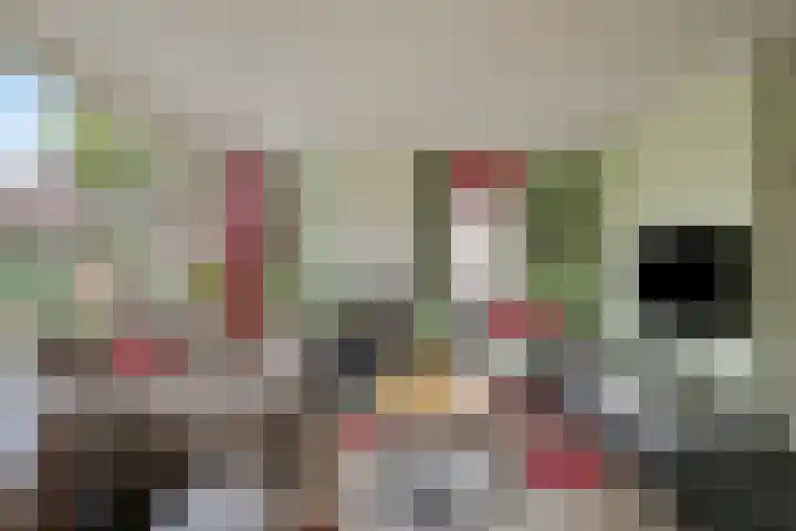 Molecatendreef 15 Helmond thumbnail 9