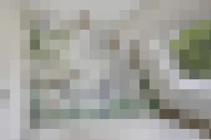 Molecatensingel 30 Rotterdam thumbnail 16