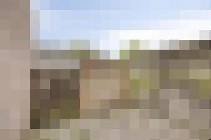 Molecatensingel 30 Rotterdam thumbnail 20