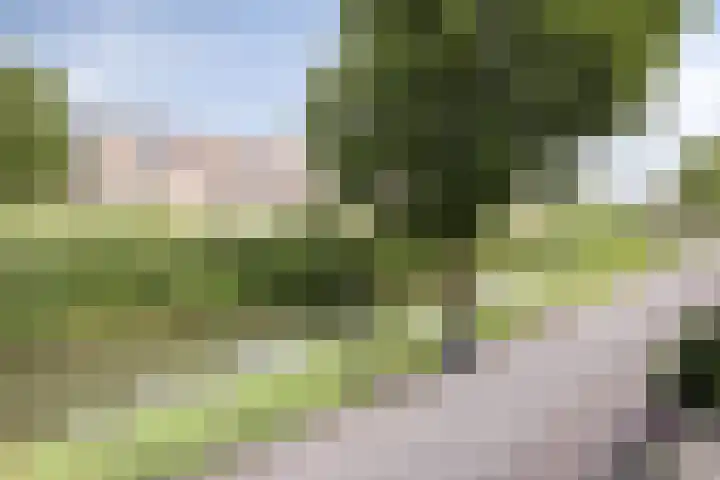 Molecatensingel 30 Rotterdam thumbnail 26