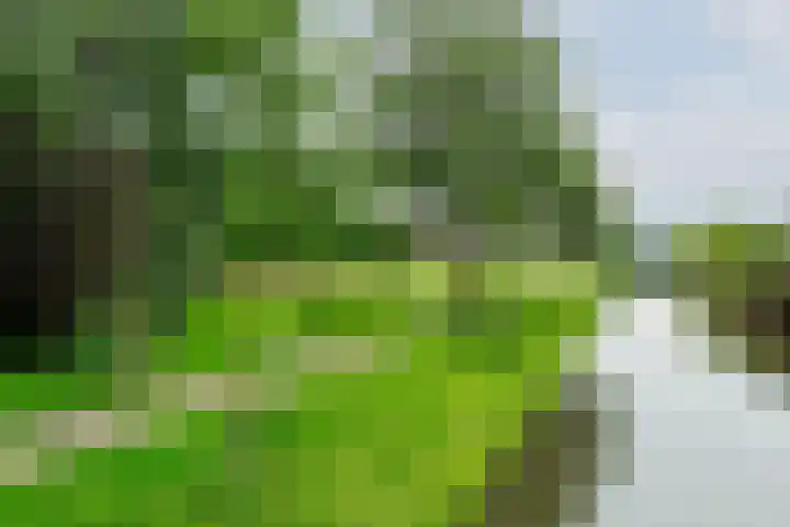 Molecatensingel 30 Rotterdam thumbnail 27