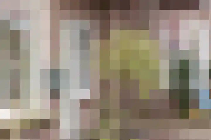 Molecatensingel 30 Rotterdam thumbnail 29