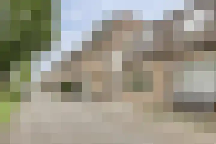 Molecatensingel 30 Rotterdam thumbnail 32