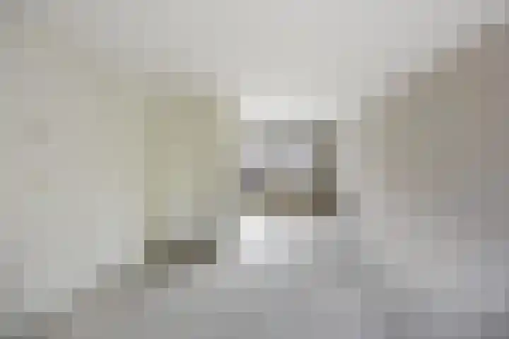 Molecatensingel 30 Rotterdam thumbnail 4