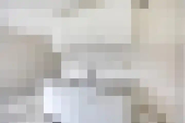 Molecatensingel 30 Rotterdam thumbnail 5