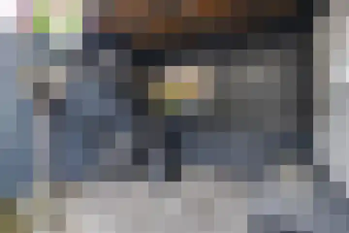 Molecatensingel 347 Rotterdam thumbnail 18