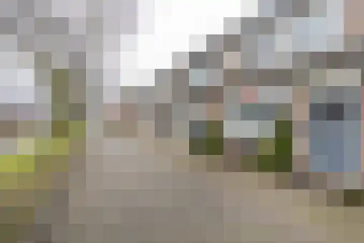 Molecatensingel 347 Rotterdam thumbnail 31
