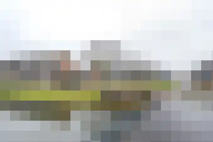 Molecatensingel 347 Rotterdam thumbnail 32