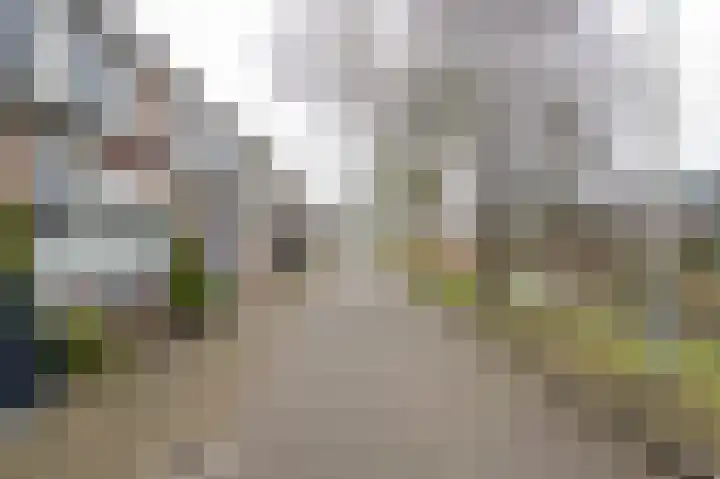 Molecatensingel 347 Rotterdam thumbnail 6