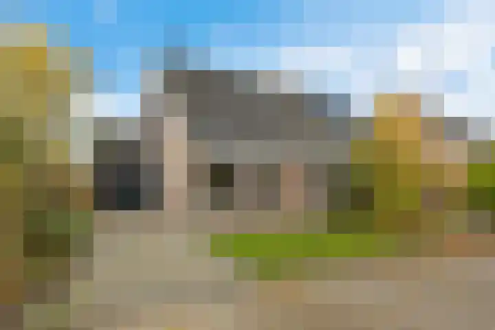 Molefinne 12 Heeg
