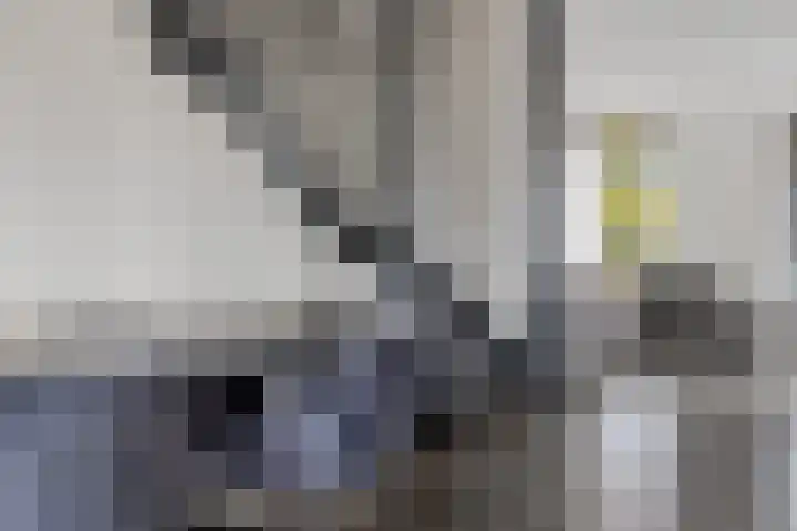 Molefinne 12 Heeg thumbnail 10