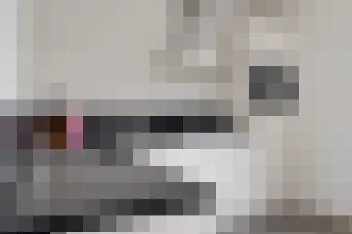 Molefinne 12 Heeg thumbnail 11