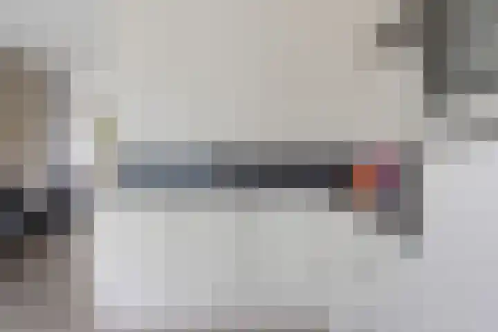 Molefinne 12 Heeg thumbnail 12