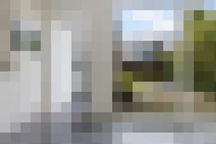 Molefinne 12 Heeg thumbnail 13
