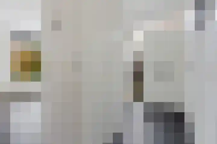 Molefinne 12 Heeg thumbnail 16