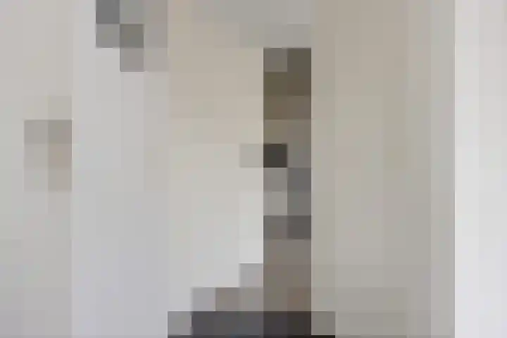 Molefinne 12 Heeg thumbnail 17