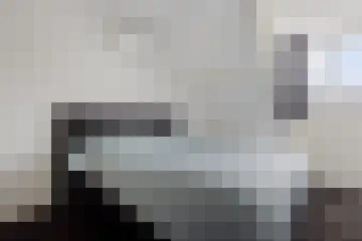 Molefinne 12 Heeg thumbnail 18