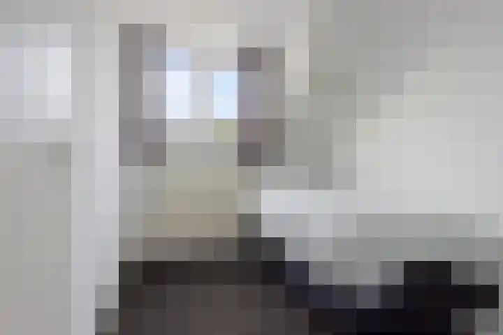 Molefinne 12 Heeg thumbnail 20