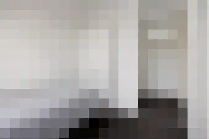 Molefinne 12 Heeg thumbnail 21