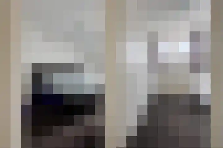 Molefinne 12 Heeg thumbnail 22