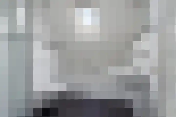 Molefinne 12 Heeg thumbnail 23