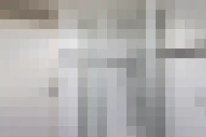 Molefinne 12 Heeg thumbnail 24