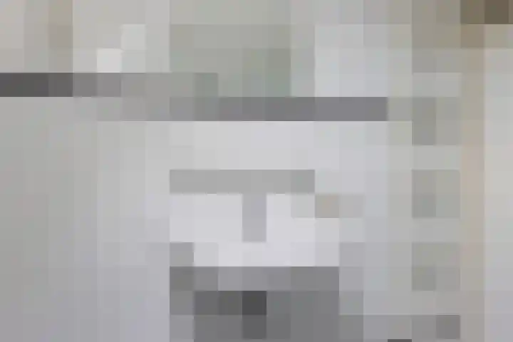 Molefinne 12 Heeg thumbnail 25