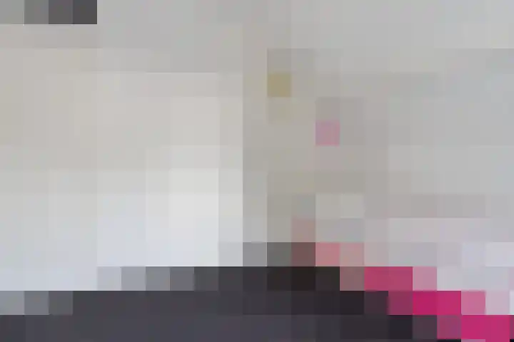 Molefinne 12 Heeg thumbnail 27