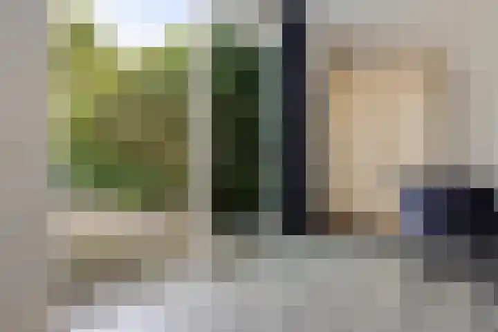 Molefinne 12 Heeg thumbnail 28