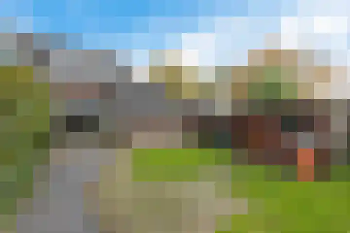 Molefinne 12 Heeg thumbnail 29