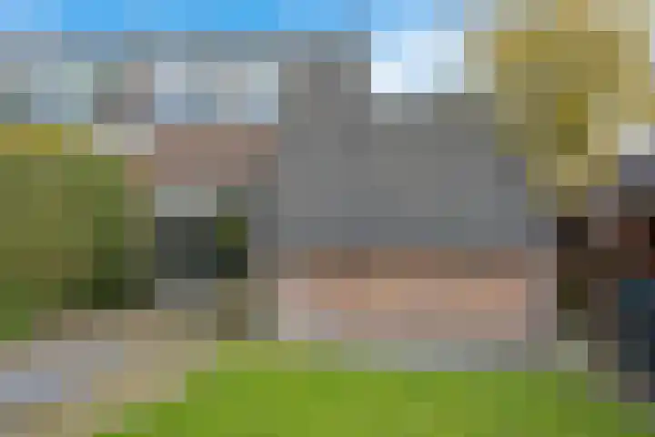 Molefinne 12 Heeg thumbnail 30