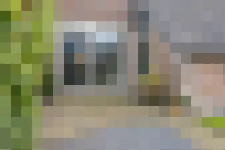 Molefinne 12 Heeg thumbnail 31