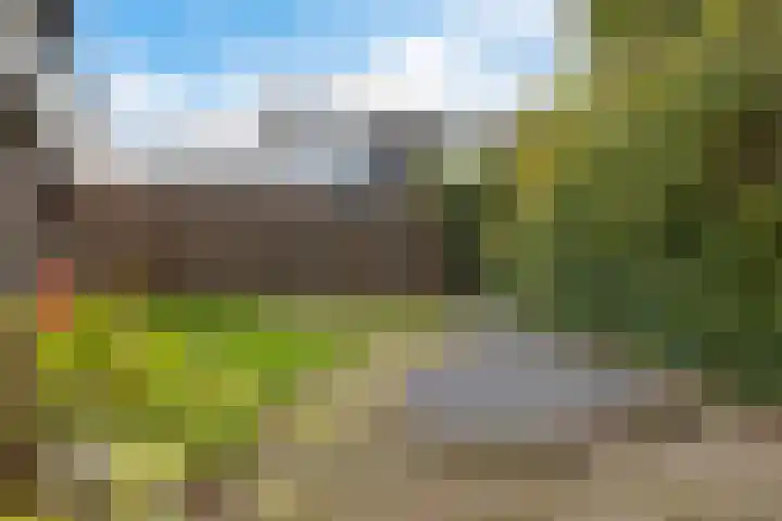 Molefinne 12 Heeg thumbnail 33