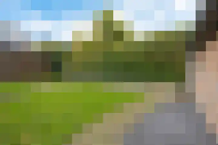 Molefinne 12 Heeg thumbnail 34