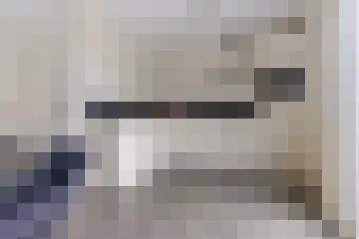 Molefinne 12 Heeg thumbnail 4