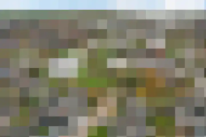 Molefinne 12 Heeg thumbnail 42