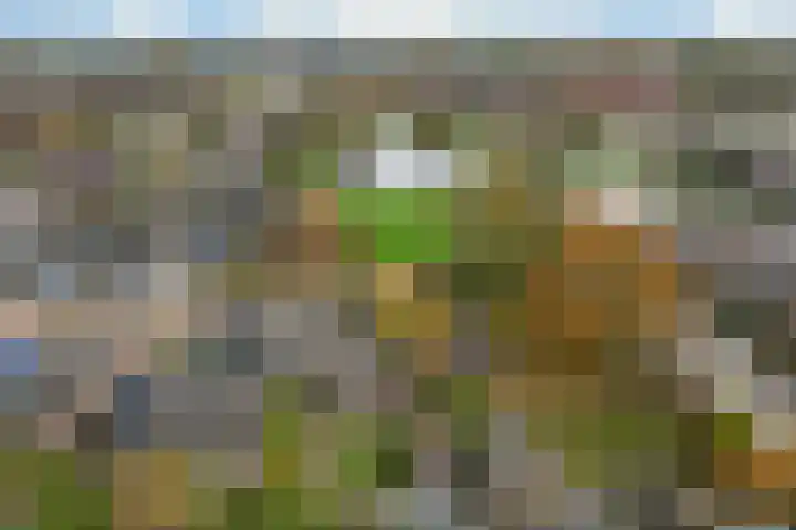 Molefinne 12 Heeg thumbnail 43