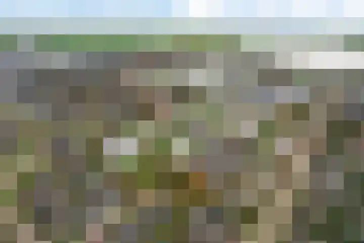 Molefinne 12 Heeg thumbnail 44