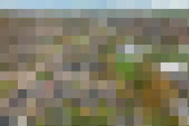 Molefinne 12 Heeg thumbnail 45