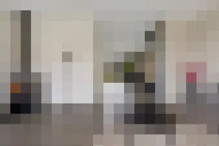 Molefinne 12 Heeg thumbnail 6