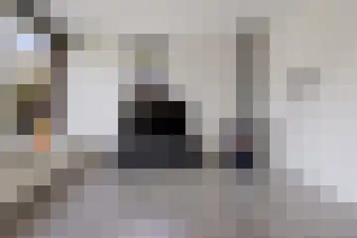 Molefinne 12 Heeg thumbnail 7