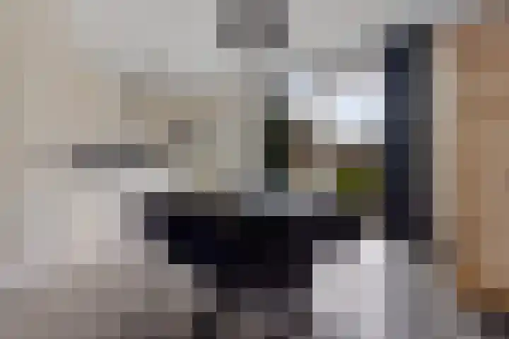 Molefinne 12 Heeg thumbnail 8