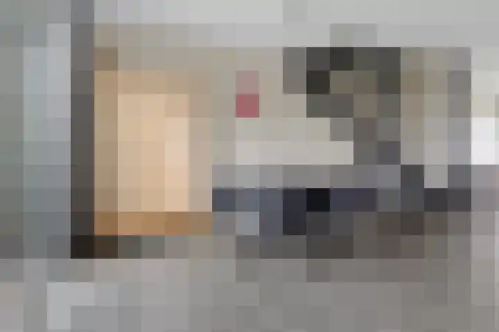 Molefinne 12 Heeg thumbnail 9