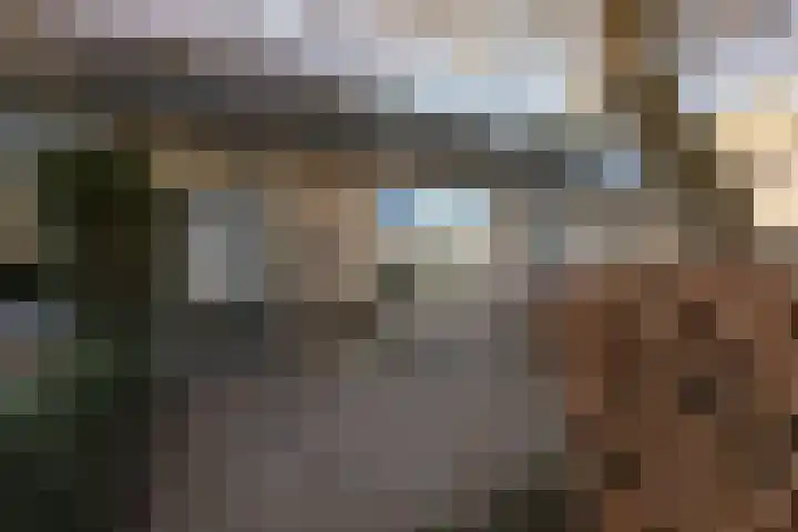 Molefinne 15 Heeg