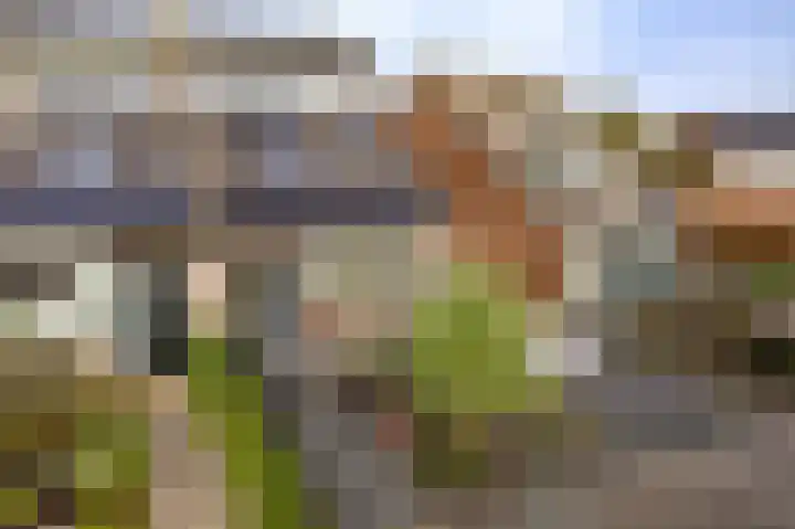 Molefinne 29 in Heeg