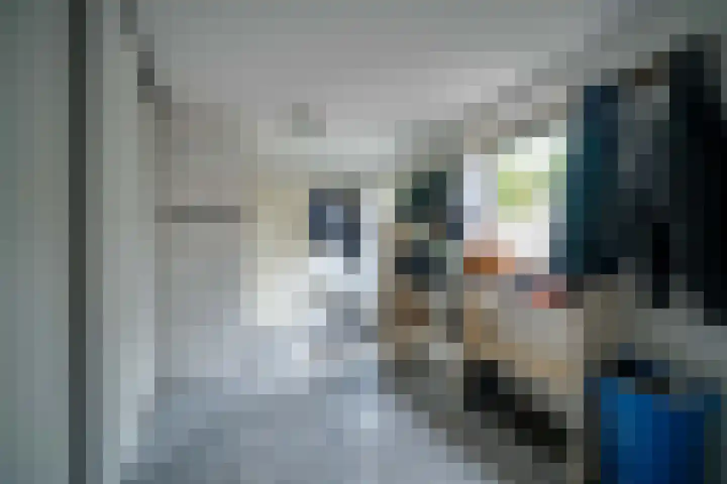 Molefinne 42 Heeg thumbnail 18