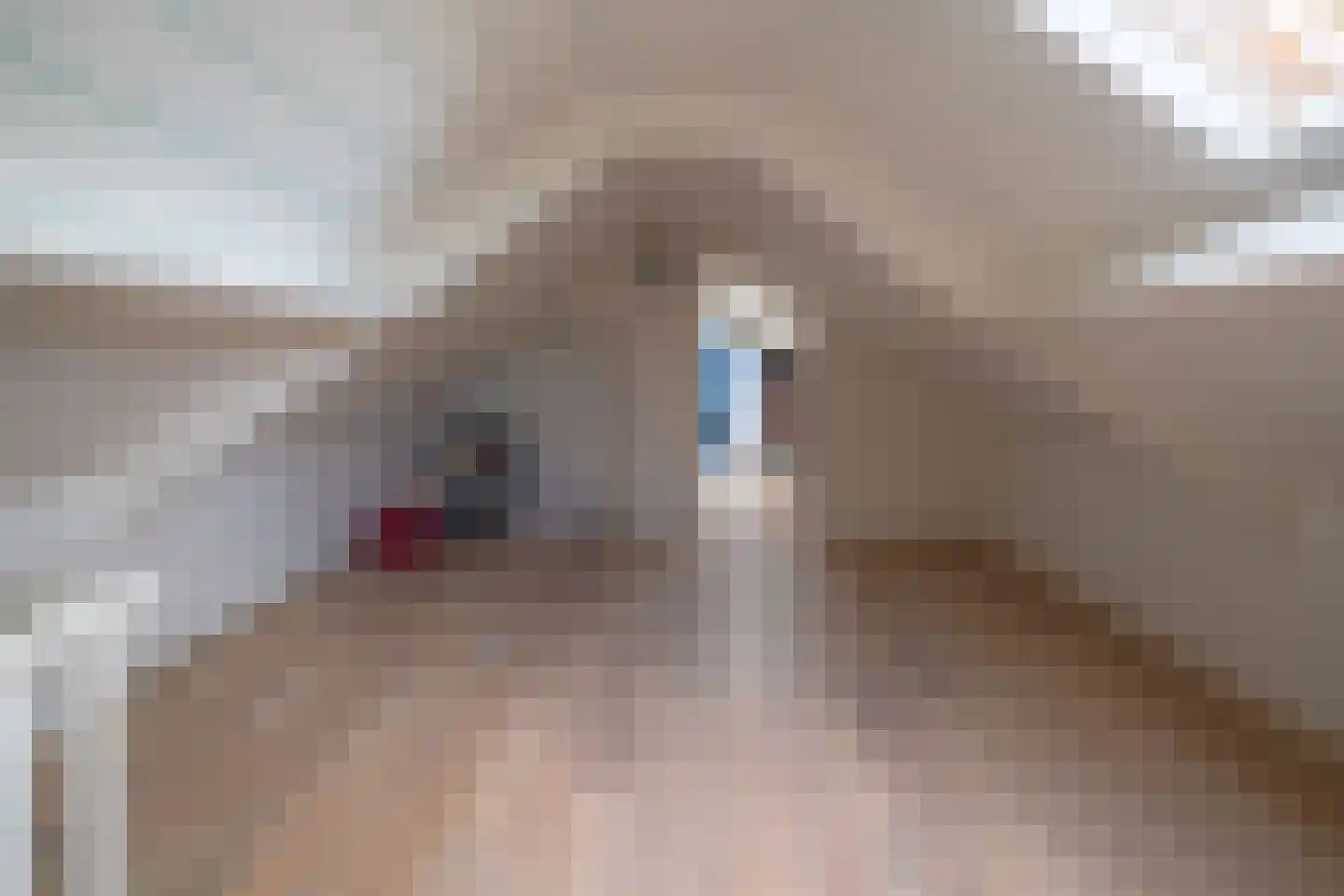 Molefinne 42 Heeg thumbnail 32