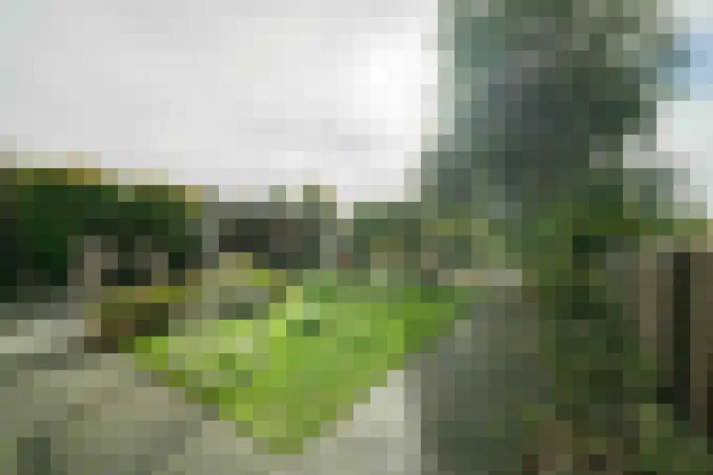 Molefinne 42 Heeg thumbnail 36