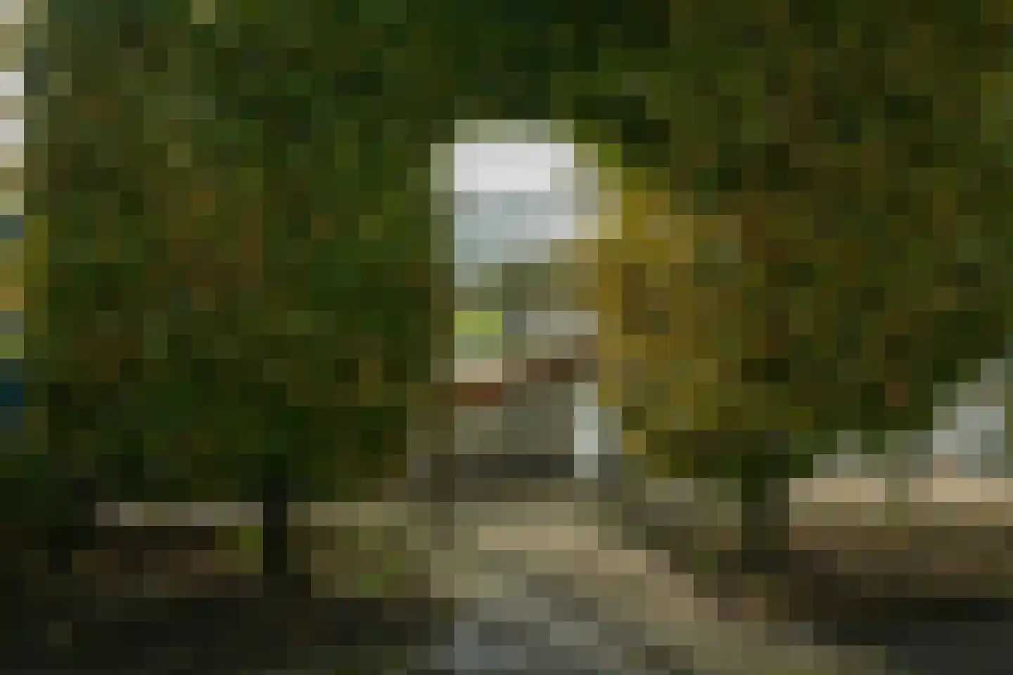 Molefinne 42 Heeg thumbnail 38